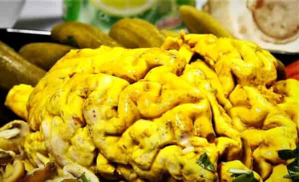 خرید و فروش روده صادراتی با شرایط فوق العاده